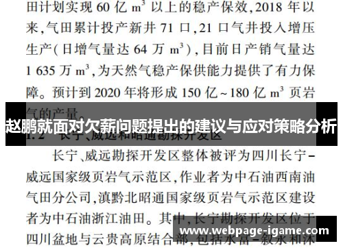 赵鹏就面对欠薪问题提出的建议与应对策略分析