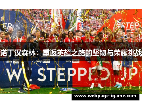 诺丁汉森林：重返英超之路的坚韧与荣耀挑战