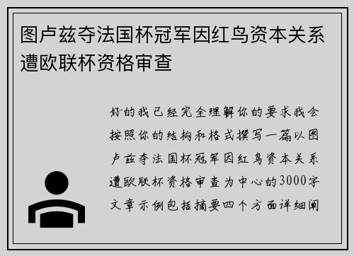 图卢兹夺法国杯冠军因红鸟资本关系遭欧联杯资格审查 图卢兹夺法国杯冠军因红鸟资本关系遭欧联杯资格审查