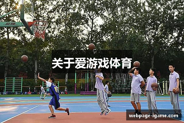 关于爱游戏体育